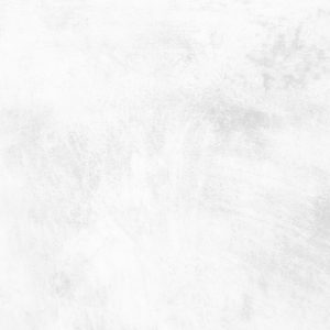 پیتزا تک نفره تاکو چیک